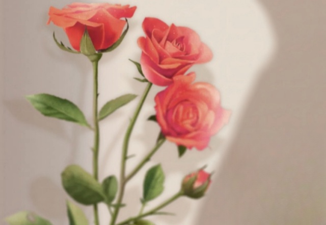 祝天下女神們節(jié)日快樂?。?！